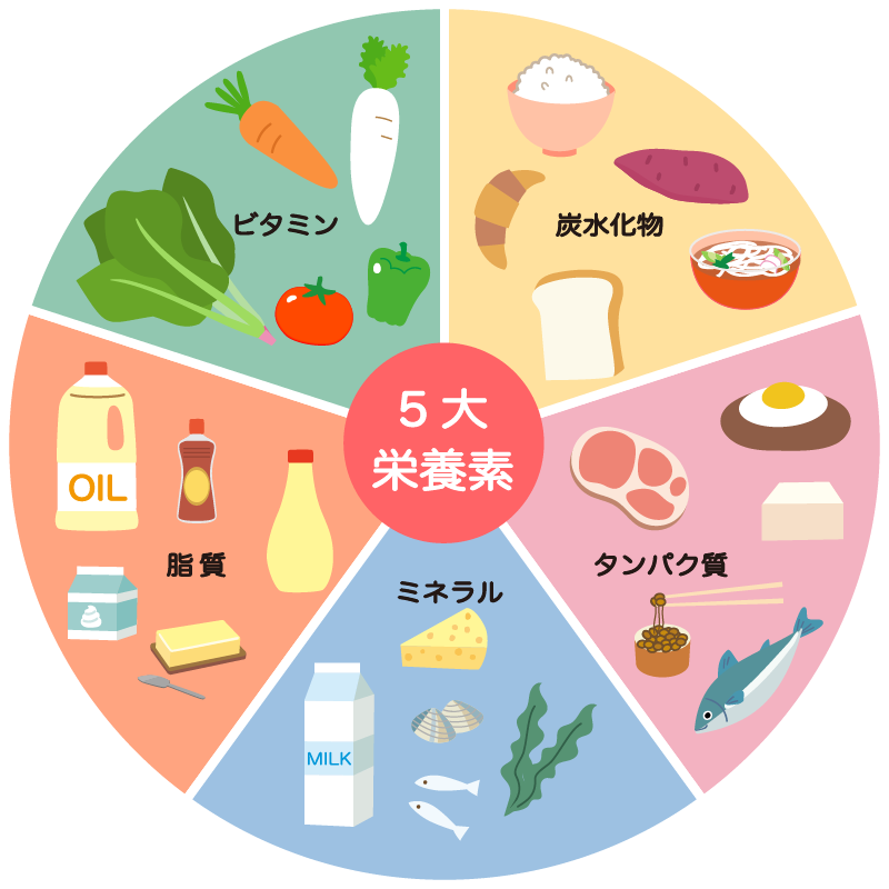 リハビリテーション栄養を学びましょう | J-APPA